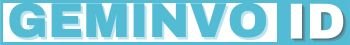 Geminvo ID